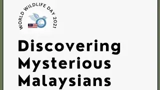 Discovering Mysterious Malaysians- World Wildlife Day 2021