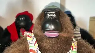 My 3rd Magogo Macarena Gorilla