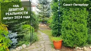Новости из сада Девятой реальности🌿Потери и приобретения🌿Как проходит лето 2024 года🌿