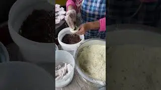 Putu Halba - Kuih laku keras ketika musim hujan di Kelantan😄