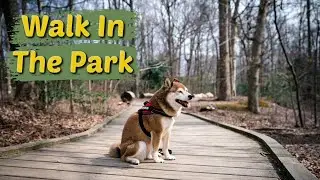 A Walk Around Green Spring Gardens // Walk With Me