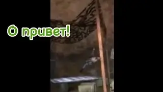 Чернобль/БАГИ/ПРИКОЛЫ :) 🤣