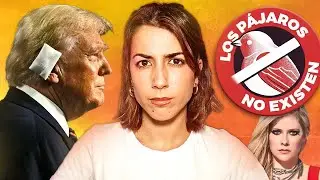 Las 5 CONSPIRACIONES más SURREALISTAS ... ¿O NO?
