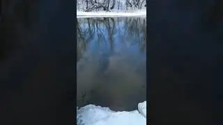 река Цна в феврале🤔