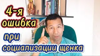 8. ИГНОРИРОВАНИЕ индивидуальных особенностей щенка.