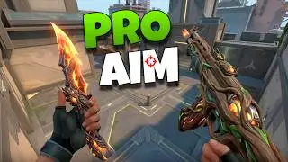 Pro Aim + Brain AFK - Valorant