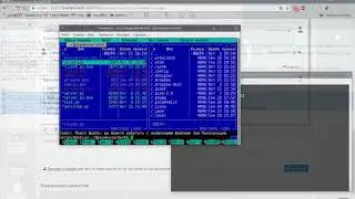 gevent socket server