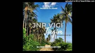 Jnr Vigi - Tingim (2021)