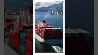 Concentrated Inspection Campaign (CIC) 