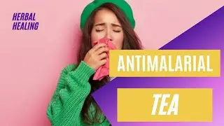 ANTI-MALARIAL TEA / MALARIA HERBAL REMEDY