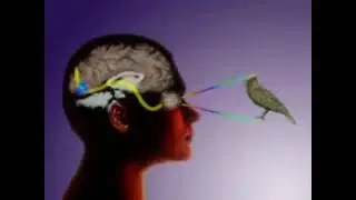 Реальность
