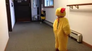 Chicken little run