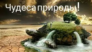 Чудесное творчество природы .