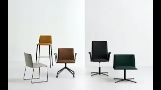 Segis - Stamp Collection