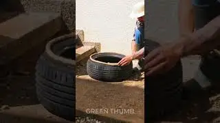 How to transform a backyard on a budget! 💸 