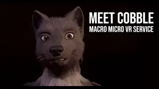 Macro Micro VR Service - Meet Cobble
