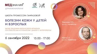 Малые признаки атопического дерматита при обострении и в ремиссии  Диалог с аллергологом
