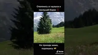 Послушай Коран!Ради Аллаха,послушай!