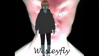 WELCOME TO WESLEYFLY BLIND GAMING CHANNEL