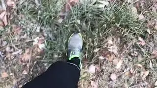 Ноябрь 2018. Викли влог.