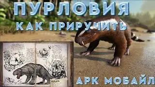 как приручить пурловию арк мобайл 