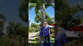 Umauma Zipline Experience