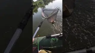на кольцо