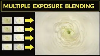 Multiple Exposure Blending