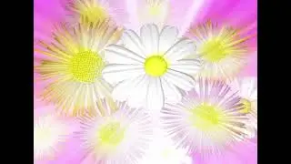 FREE VINTAGE RUSSIAN WEDDING 3D ANIMATION 16 | COPYRIGHT FREE VINTAGE WEDDING 3D ANIMATION  LOOP 16