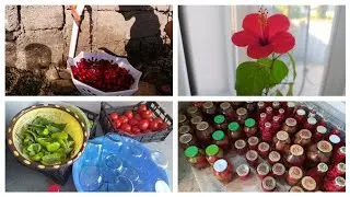 ❌ GÜNLÜK VLOG / #QIS HAZIRLIĞI 🍑🍓🍅 / İşim yüngülləşdi Selfi çubuğu aldım 😍