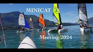 MINICAT summer meeting 2024