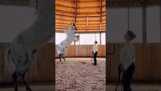 Елена Чистякова и Данзарин 