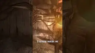 Уникальная анимация Сталкера! Сталкер Чистое Небо  