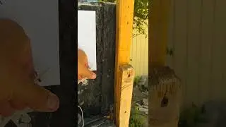 Мои заметки после участия в 3D стрельбе из лука Большая охота и Стрелецкая степь 2024