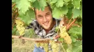 FARE RETE - CRISTIAN SPECOGNA