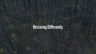 Restoring differently after wildfires [Extended]