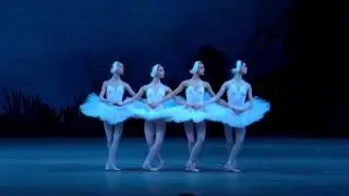 Танец маленьких лебедей ( Dance of the little swans from Swan Lake)