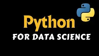 Python EXPERTS Agree This Is The Best Language For Beginners