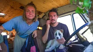 Wir finden einen regungslosen Welpen am Straßenrand, beim Vanlife durch die Türkei. Was jetzt?