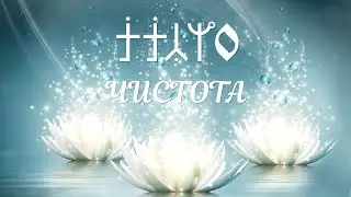 ЧИСТОТА