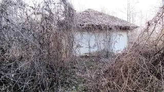 Развитие сельских территорий. Как возродить заброшенные деревни