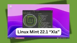 Linux Mint Review: Best Linux Distro of 2025 | Best Linux of 2025