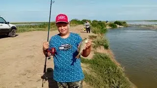 ЩУКА РВЕТ ПЛЕТЕНКУ ! рыба клюет с каждого заброса, суперуловистая снасть !