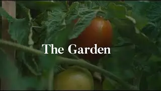 The Garden: A [Very] Short Film
