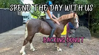 Spend The Day At The Stables With Us And Backing My Young Horse Donut