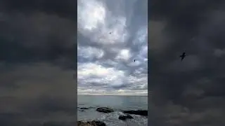This beautiful sea world 
