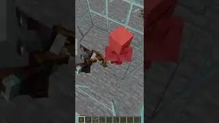 Minecraft Busting unique MYTHs #minecraftshorts