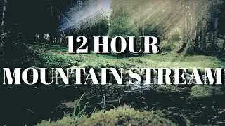 MOUNTAIN STREAM WATER 12 HOURS SIGHTS & SOUNDS - RELAX SLEEP CALMING - NO MID STREAM ADS