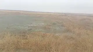 Ақтауда не болды 😲🥵😱