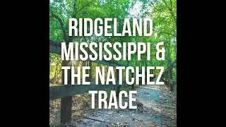 Surprise Mississippi: I had no idea Ridgeland and the Natches Trace were this cool